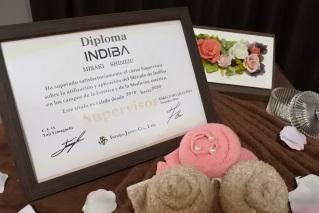 INDIBA salon Shine